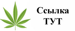 Купить наркотики в Дмитрове